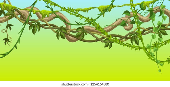 Twisted wild lianas branches banner. Jungle vines plants. Woody natural tropical rainforest.