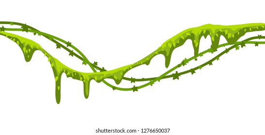 Twisted wild lianas branches banner. Jungle vines plants. Woody natural tropical rainforest.