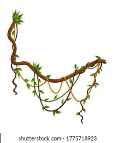 Twisted wild lianas branches banner. Jungle vine