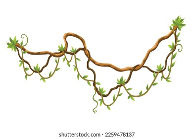 Twisted wild lianas branches banner. Jungle vine plants. Woody natural tropical rainforest, exotic botany. Woody natural branches