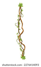 Twisted wild lianas branches banner. Jungle vine plants. Woody natural tropical rainforest, exotic botany. Woody natural branches