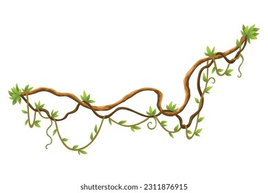 Twisted wild lianas branches banner. Jungle vine plants. Woody natural tropical rainforest, exotic botany. Woody natural branches