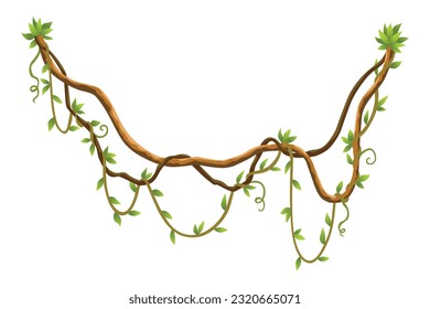 Twisted wild lianas branches banner. Jungle vine plants. Woody natural tropical rainforest, exotic botany. Woody natural branches