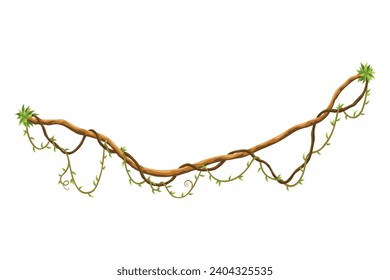 Twisted wild lianas branches banner. Jungle vine plants. Woody natural tropical rainforest, exotic botany. Woody natural branches