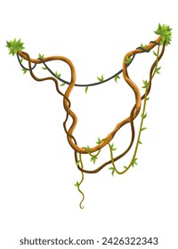 Twisted wild lianas branches banner. Jungle vine plants. Woody natural tropical rainforest, exotic botany. Woody natural branches