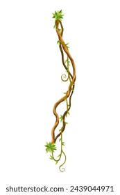 Twisted wild lianas branches banner. Jungle vine plants. Woody natural tropical rainforest, exotic botany. Woody natural branches