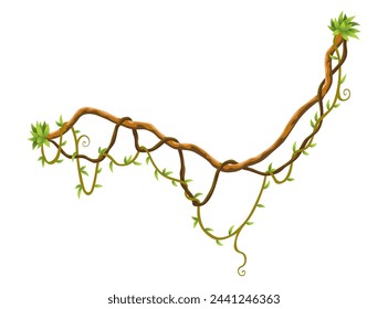 Twisted wild lianas branches banner. Jungle vine plants. Woody natural tropical rainforest, exotic botany. Woody natural branches