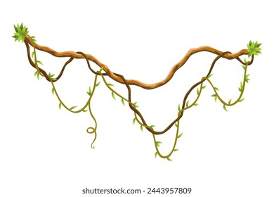 Twisted wild lianas branches banner. Jungle vine plants. Woody natural tropical rainforest, exotic botany. Woody natural branches