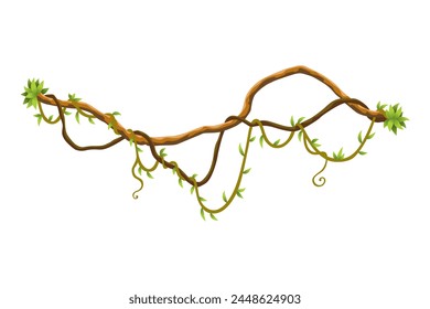 Twisted wild lianas branches banner. Jungle vine plants. Woody natural tropical rainforest, exotic botany. Woody natural branches