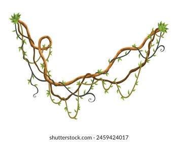 Lianas silvestres retorcidas ramas de Anuncio. Plantas de vid de selva. Bosque tropical natural leñoso, botánica exótica. Ramas naturales leñosas