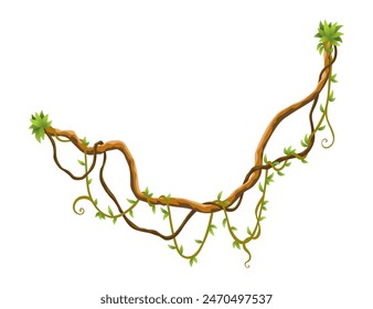 Twisted wild lianas branches banner. Jungle vine plants. Woody natural tropical rainforest, exotic botany. Woody natural branches