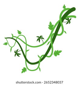 Banner de galhos de lianas selvagens trançados. Videira de selva. Floresta tropical natural, botânica exótica. Ramos naturais lenhosos. Planta creeper. Ilustração do vetor da planta Liana 