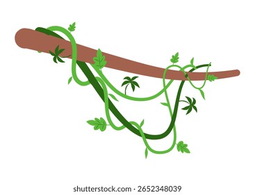Banner de galhos de lianas selvagens trançados. Videira de selva. Floresta tropical natural, botânica exótica. Ramos naturais lenhosos. Planta creeper. Ilustração do vetor da planta Liana 