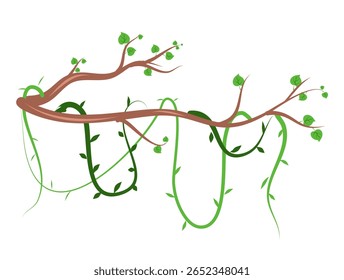 Banner de galhos de lianas selvagens trançados. Videira de selva. Floresta tropical natural, botânica exótica. Ramos naturais lenhosos. Planta creeper. Ilustração do vetor da planta Liana 