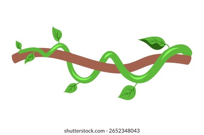 Banner de galhos de lianas selvagens trançados. Videira de selva. Floresta tropical natural, botânica exótica. Ramos naturais lenhosos. Planta creeper. Ilustração do vetor da planta Liana 