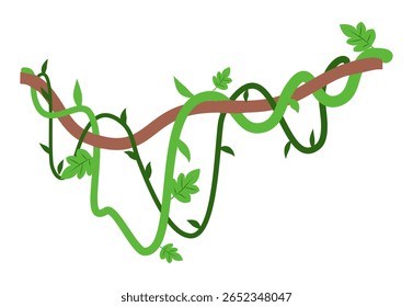 Banner de galhos de lianas selvagens trançados. Videira de selva. Floresta tropical natural, botânica exótica. Ramos naturais lenhosos. Planta creeper. Ilustração do vetor da planta Liana 