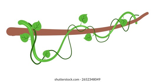 Banner de galhos de lianas selvagens trançados. Videira de selva. Floresta tropical natural, botânica exótica. Ramos naturais lenhosos. Planta creeper. Ilustração do vetor da planta Liana 