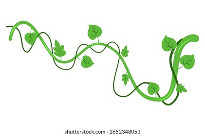Banner de galhos de lianas selvagens trançados. Videira de selva. Floresta tropical natural, botânica exótica. Ramos naturais lenhosos. Planta creeper. Ilustração do vetor da planta Liana 