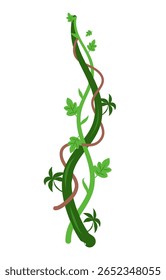 Twisted wild lianas branches banner. Jungle vine plants. Woody natural tropical rainforest, exotic botany. Woody natural branches. Creeper plant. Liana plant vector illustration 