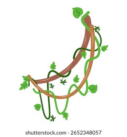 Banner de galhos de lianas selvagens trançados. Videira de selva. Floresta tropical natural, botânica exótica. Ramos naturais lenhosos. Planta creeper. Ilustração do vetor da planta Liana 