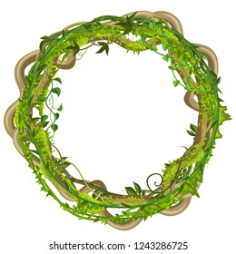 Twisted wild lianas branches frame. Jungle vines plants. Woody natural tropical rainforest.