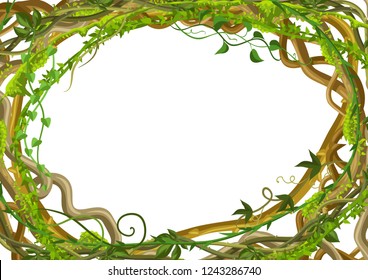 Twisted wild lianas branches frame. Jungle vines plants. Woody natural tropical rainforest.