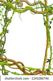 Twisted wild lianas branches frame. Jungle vines plants. Woody natural tropical rainforest.