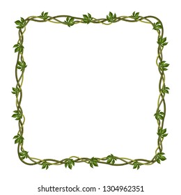 Twisted wild lianas branches frame. Jungle vines plants. Woody natural tropical rainforest.