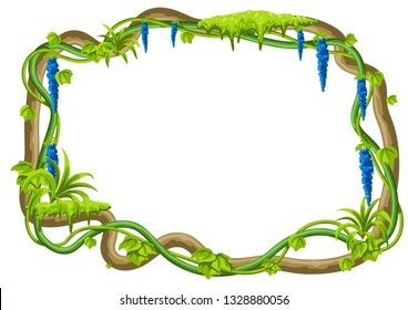 Twisted wild lianas branches frame. Jungle vines plants. Woody natural tropical rainforest.