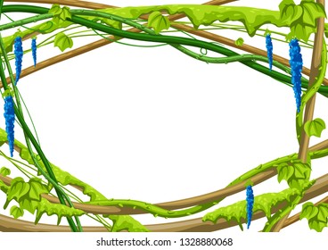 Twisted wild lianas branches frame. Jungle vines plants. Woody natural tropical rainforest.