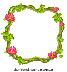 Twisted wild lianas branches frame. Jungle vines plants. Woody natural tropical rainforest.