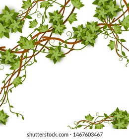 Twisted wild tropical jungle lianas vine branches vector illustration isolated on white background. Exotic summer green plants design or frame with copy space for text.