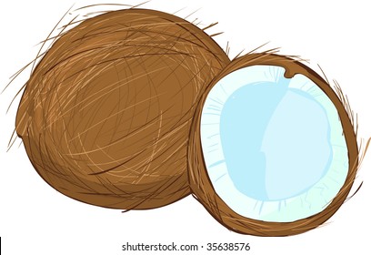 two (2) vector coconuts