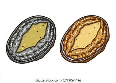 Two abalones. Colored vector illustrations set.