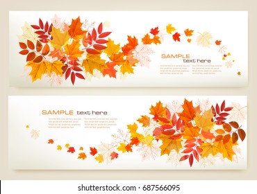 Two abstract autumn banners with colorful leaves Vector