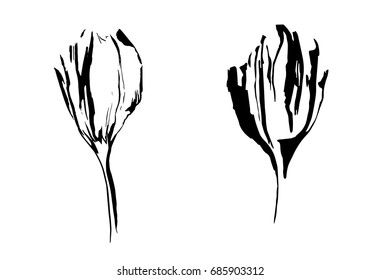 Two abstract flowers. Hand drawn black stylized image painted by ink. Sketch style. Vector illustration.