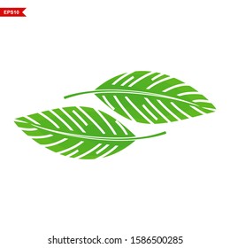 two abstract green leaves with white background, leaf icon, vector