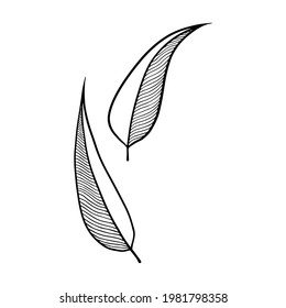 Dos hojas abstractas sobre un fondo blanco. Ilustración del contorno vectorial en blanco y negro de hojas como elemento de su diseño. Ilustración aislada para impresión, fondo, coloreado.