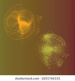 Duas formas orgânicas abstratas que se assemelham a vagens de sementes ou flores são representadas com linhas finas e fluidas e pequenas esferas. O fundo apresenta um gradiente quente de verde-oliva para vermelho profundo.