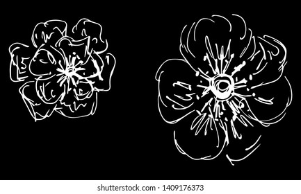 Two abstract wildflowers isolated on black background. Hand Drawn vector illustration. Wildflowers collection. Outline set