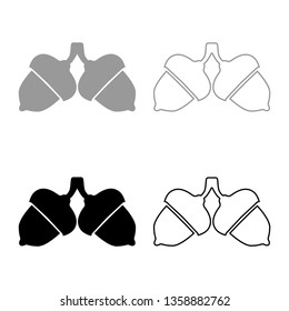 Two acorn icon set black color vector illustration flat style simple image