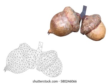 Two acorn isolated on white background in the style of Low Poly, vector image acorns, acorns sketch