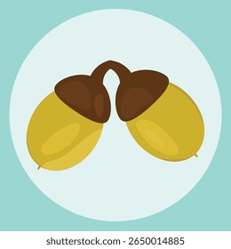 Two acorn vector on abstract background. Realistic acorn.