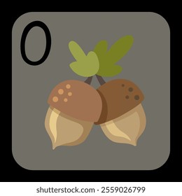 two acorns as an alphabet with the letter o