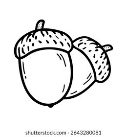 Two acorns with caps, illustrated in a simple black and white style. The acorns are round and smooth, showcasing their natural shape and texture.