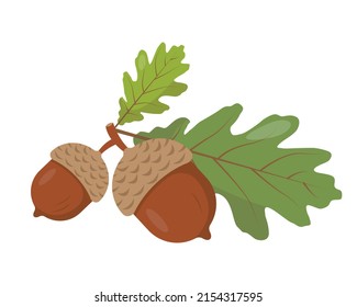 Two acorns with leaves on branch. Oak seeds or nuts icon isolated on white background. Vector flat illustration.