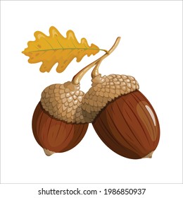 Two acorns on a branch. Yellow oak leaf on a branch. Isolated on a white background. Casual. Flat illustration. Forest motive. Nature. For cards, stickers, websites, books.