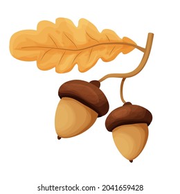 Two acorns on a branch with yellow oak leaf in cartoon style isolated on a white background. Forest decoration, seasonal nature element.