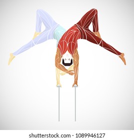 two acrobats, athletes, gymnasts vector