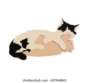 Two adorable kittens playing together